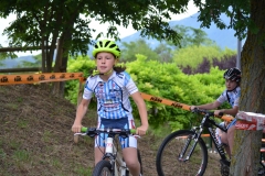 BUSSI_2016_06_12043