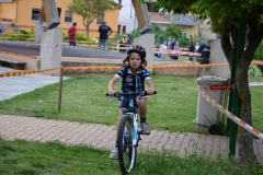 BUSSI_2016_06_12044