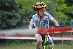 BUSSI_2016_06_12046