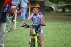 BUSSI_2016_06_12055