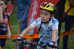 BUSSI_2016_06_12056