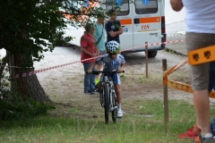 BUSSI_2016_06_12068