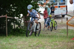BUSSI_2016_06_12069