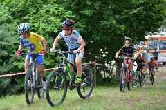 BUSSI_2016_06_12072