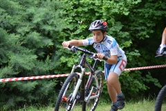 BUSSI_2016_06_12074