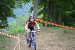 BUSSI_2016_06_12079