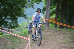 BUSSI_2016_06_12080