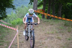 BUSSI_2016_06_12081