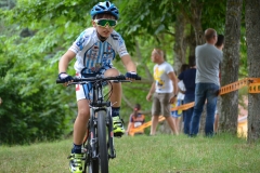 BUSSI_2016_06_12110