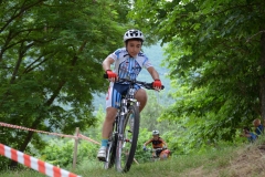 BUSSI_2016_06_12128