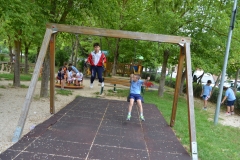 BUSSI_2016_06_12158